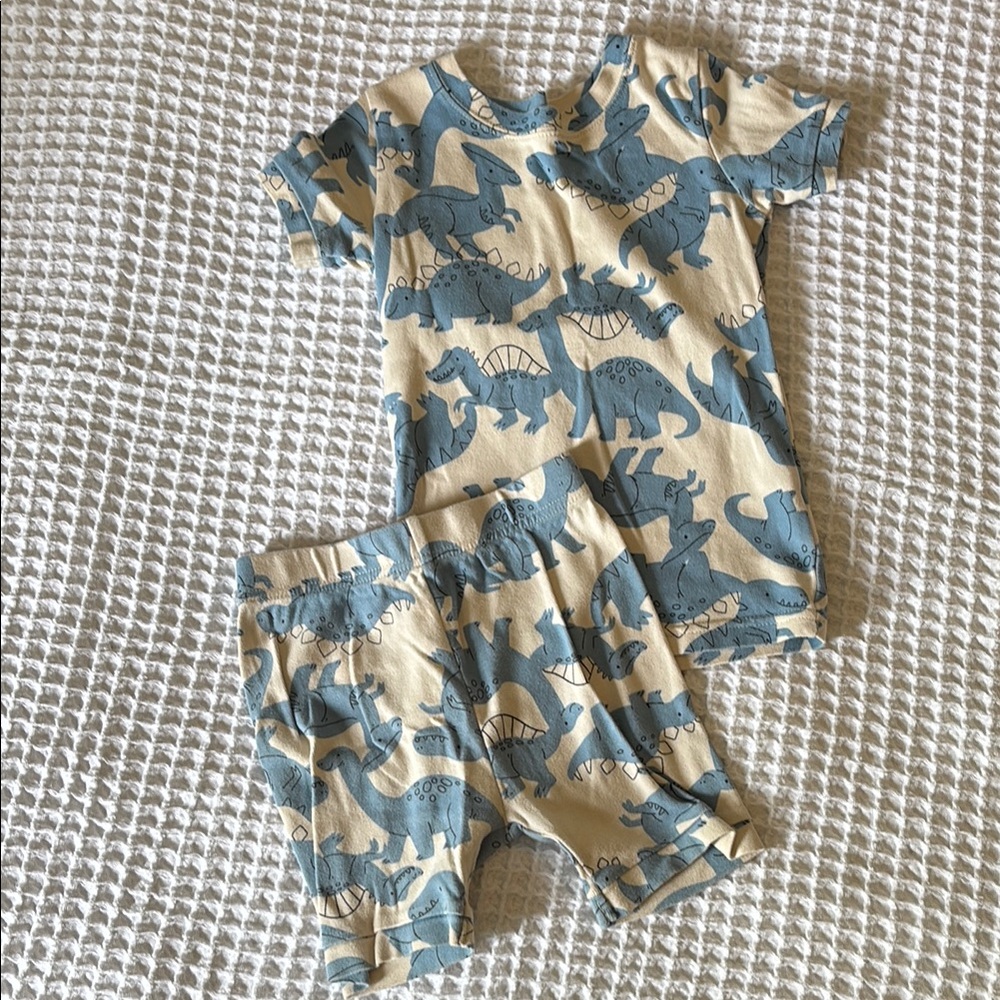 Kids Dinosaur Pajama Set - Blue and Cream